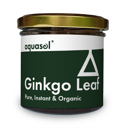 Ginkgo Leaf Tea 20g