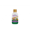 Source of Life Animal Parade GOLD Liquid Natural Tropical Berry Flavour 480ml