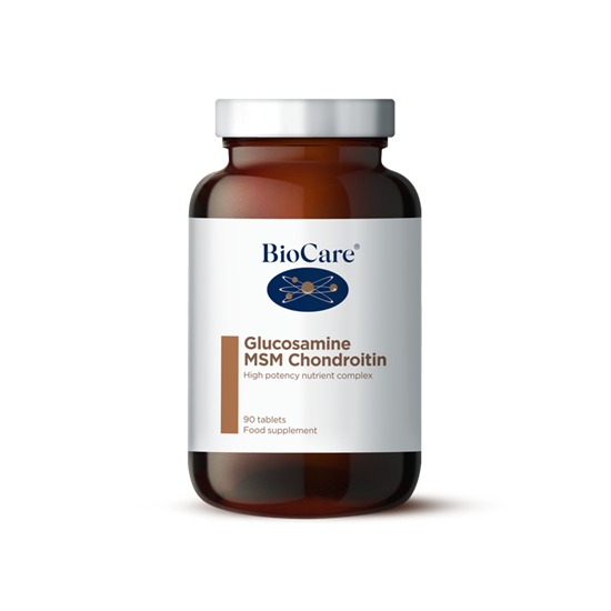 Glucosamine MSM Complex 90's