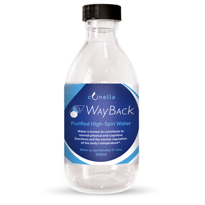WayBack Purified High-Spin Water 250ml