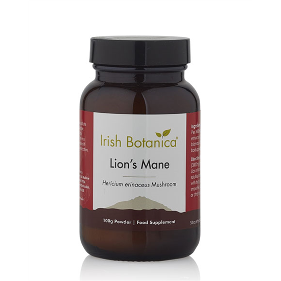 Lion's Mane 90g Powder