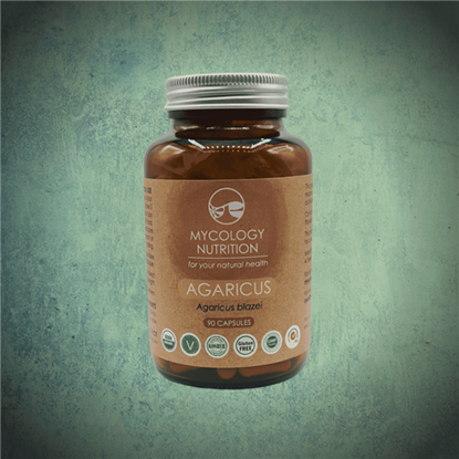 Agaricus (Agaricus blazei) 90's