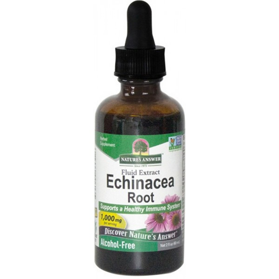 Echinacea 60ml