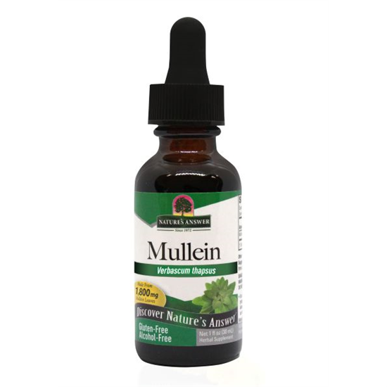 Mullein Leaf (Alcohol Free) 30ml