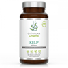 Organic Kelp 60's