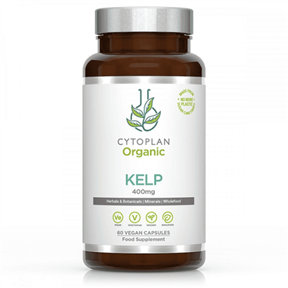 Organic Kelp 60's