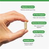 MetaDigest Soothe 90s (Formerly Nutri Adv. Marshmallow & Gamma Oryzanol NUT-5606)