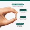 Plant Sterol Complex 30s (Formerly Nutri Adv. Sterol 117 NUT-3600)