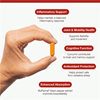 MetaActive Curcumin Megasorb 120s (Formerly Nutri Adv. Curcumin Megasorb  NUT-1502A)