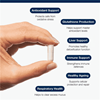 N-Acetyl-L-Cysteine (NAC) 90s (Formerly Nutri Adv. NUT-3225)