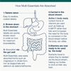 Multi Essentials For Women 30s (Formerly Nutri Adv. NUT-3254)