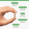 Motility Complex with Ginger + Artichoke 120s (Formerly Nutri Adv. NUT-6963)